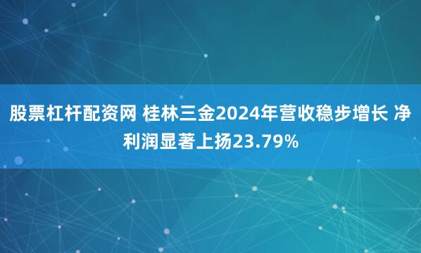 股票杠杆配资网 桂林三金2024年营收稳步增长 净利润显著上扬23.79%